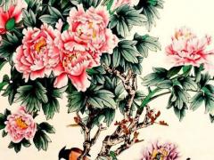 女士屬龍的和屬什么的婚配啊,女屬龍跟什么屬性配