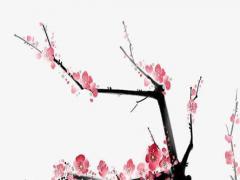 寶寶取名的十大禁忌 寶寶取名有講究嗎