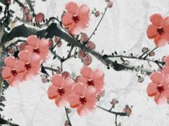 屬兔和屬猴的人創業合嗎,屬兔跟屬猴的人做生意生財嗎？