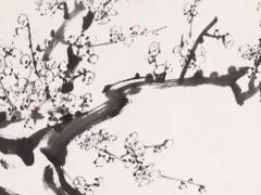 八字命里的印代表什么 八字當中的印