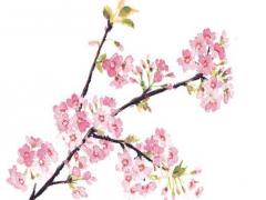 什么樣的八字不能當伴娘 什么人的八字不能算