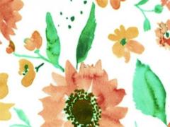 63年屬兔穿什么顏色衣服好,63年兔適合什么顏色