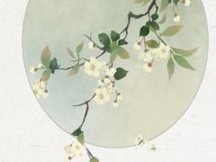 八字算命包含什么 算八字包括什么