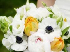 端莊嫻雅 在古代有母儀天下風(fēng)范的星座女