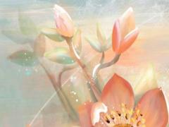 出生時間10點八字缺什么 十點生的孩子五行缺什么