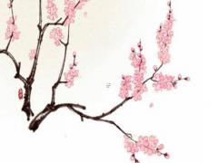 喜歡養鱷龜的男人性格 養鱷龜是什么心態