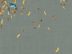 姓氏顏的由來 姓顏是什么意思