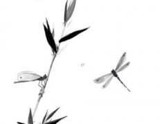 八字中的金怎代表什么 八字金的人