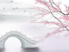 八字要寫什么 八字要寫什么字