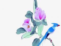 皮膚病八字看什么 易得皮膚病的八字