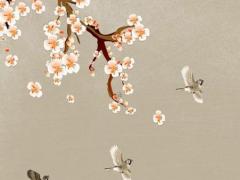 男人八字傷代表什么 男人八字弱的人有什么不好