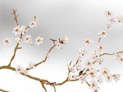 68年屬猴2023運氣