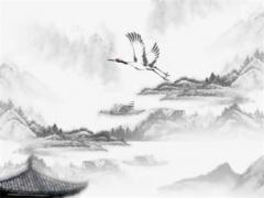 六二年屬虎女性二一年運(yùn)勢,六二年屬虎女的命運(yùn)