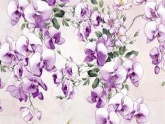 八字缺金的人可以養(yǎng)什么名字好 命里缺金適合養(yǎng)什么植物