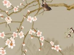 明年是屬什么生肖2023年運勢,明年是啥年2023生肖