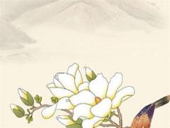 八字寒佩戴什么 八字寒的女人