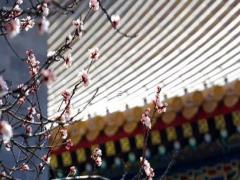 八字測未來應該從事什么行業 八字測試職業潛力和方向