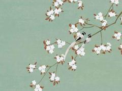 2023年3月幾號,2023年3月幾號是母親節