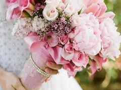 白虎星座命女孩