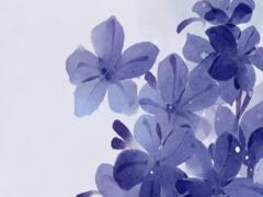 八字算命月是庚寅是什么意思 八字算命月是庚寅是什么意思呀