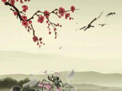 姐弟戀差四歲 姐弟戀差四歲怎么推進(jìn)關(guān)系