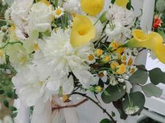 什么星座男最愛金牛女 哪三個星座