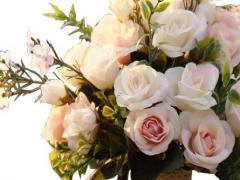 最桀驁不馴的星座