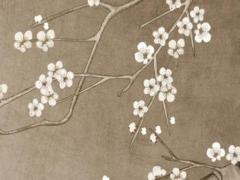 屬兔金牛女2023年運勢及運程,屬兔金牛女2023年運勢及運程