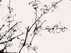 蜜蜂八字舞是什么信息 蜜蜂跳八字舞是干什么