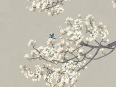 對待愛情總是異想天開的四大生肖 總是異想天開怎么辦