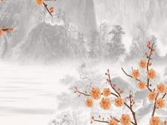 女屬虎與男屬兔婚配好嗎,女屬虎和男屬兔的婚配好不好