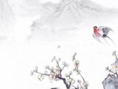 兩個人都是二婚結婚需要什么 兩人都二婚好嗎