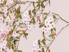 2023年2月2日屬什么屬相相沖什么生肖相合什么生肖,2023年2月2日農(nóng)歷是多少?