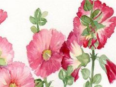 1988年屬兔本命年怎么樣,1988年本命年運勢