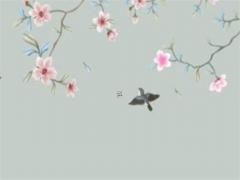 金毛前腳外八字是什么情況 小金毛前腳往外撇是怎么回事