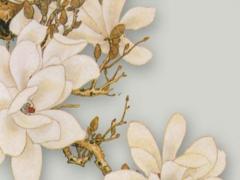 屬鼠2023年的運勢