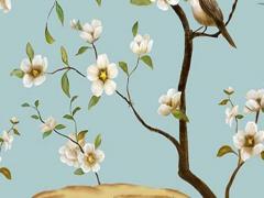 屬兔和屬豬的合作伙伴好嗎 屬兔和屬豬的合作財運(yùn)怎么樣