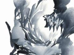 屬牛男和屬蛇女的緣分 屬蛇女與屬牛男