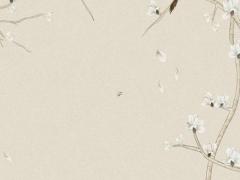 十二生肖屬龍的是哪年,十二生肖龍哪一年