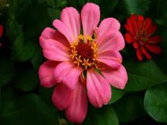 夢(mèng)見臉上有臟東西怎么回事