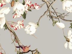 八字中螟蛉子是什么意思 求簽螟蛉有子啥意思