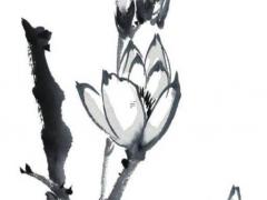 測試一個人喜不喜歡你 測試一個人喜不喜歡你的問題有哪些