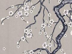 測(cè)配偶長(zhǎng)相年齡 測(cè)配偶年齡大小