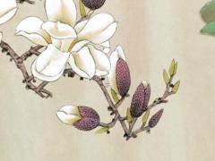 2001年屬蛇的姻緣在哪年,2001年的屬蛇的婚姻和什么相配?