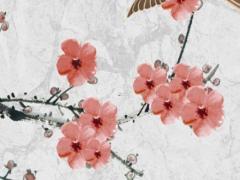 本命年兔手鏈周大福