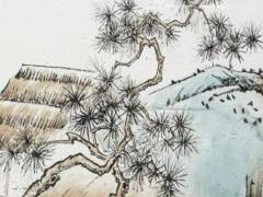 招財(cái)魚認(rèn)認(rèn)主人的表現(xiàn) 招財(cái)魚見人特別興奮