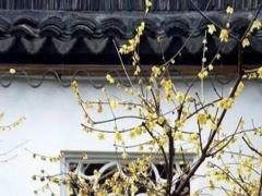 八字中偏財多意味著什么 八字偏財多什么意思