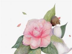 60年屬鼠和66年馬的婚配合嗎 66年屬馬和66年屬馬的婚姻