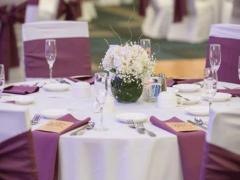 小心警惕，這些是你身邊的白眼狼星座