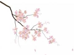 夫妻有債務可以離婚嗎 如果夫妻有債務可以離婚嗎